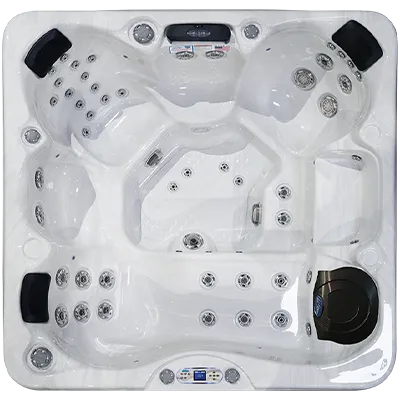 Avalon EC-849L hot tubs for sale in Caldwell